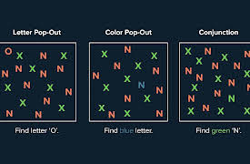 Creativity and Your Brain: Can Brain Degeneration Unleash Creativity?