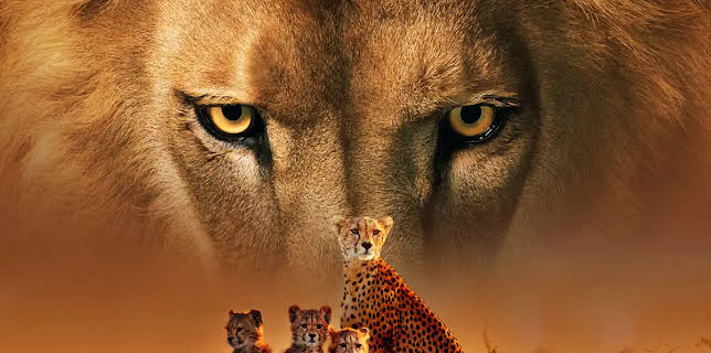 The Secret Lives Of Big Cats