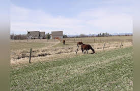 Living Big Sky Season 1: The Ricci Family