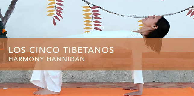 Los cinco Tibetanos (2016)