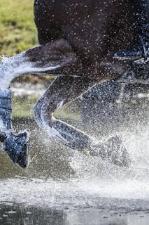 16:00: Longines League of Nations | CNBC | 3/29 2026