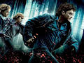 HOME CINEMA: 'HARRY POTTER Y LAS RELIQUIAS DE LA MUERTE 1ª PARTE'