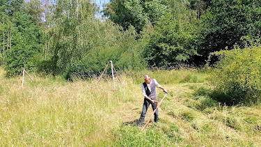 04:40: Die Nordreportage: Mit Pferd und Sense | NDR Fernsehen | 11/24 2025