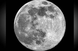 Life in Our Universe: The Early Earth and Its Moon