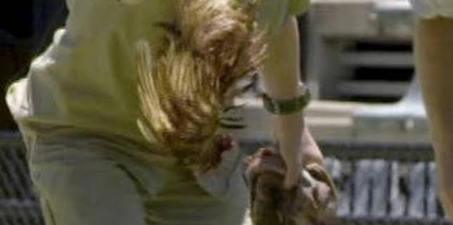 10:36: The Irwins: El legado de Steve sigue vivo | Discovery Max | 3/1 2026