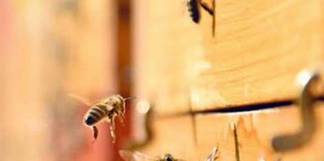 15:10: Así se hace: Muestras de testigos | Discovery | 3/2 2026