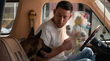 7:05 PM: Dog | Film 4 | 3/27 2026