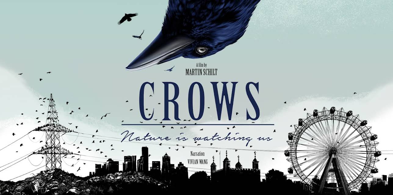 Crows: Nature is Watching Us (2023)