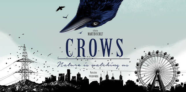 Crows: Nature is Watching Us (2023)