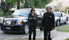 CSI: Den Tätern auf der Spur