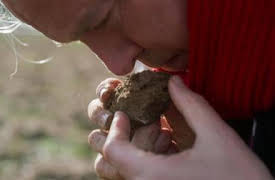 Chef's Table: Frankrike: Alain Passard