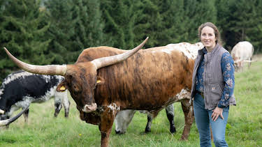 20:15: Land & lecker | WDR Fernsehen | 5/11 2026