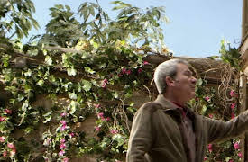 Dear Neighbours: Fight and hug