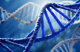 Big History: The Big Bang, Life on Earth, and the Rise of Humanity: Life on Earth—Multi-celled Organisms