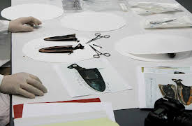 Is O.J. Innocent? The Missing Evidence Season 0: New Evidence