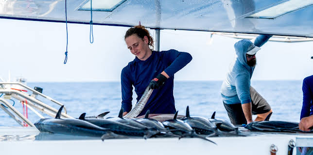 2:00 PM: Cape Carnage: Killer Catch (S1 E8) (S1) | Dave | 12/17 2025