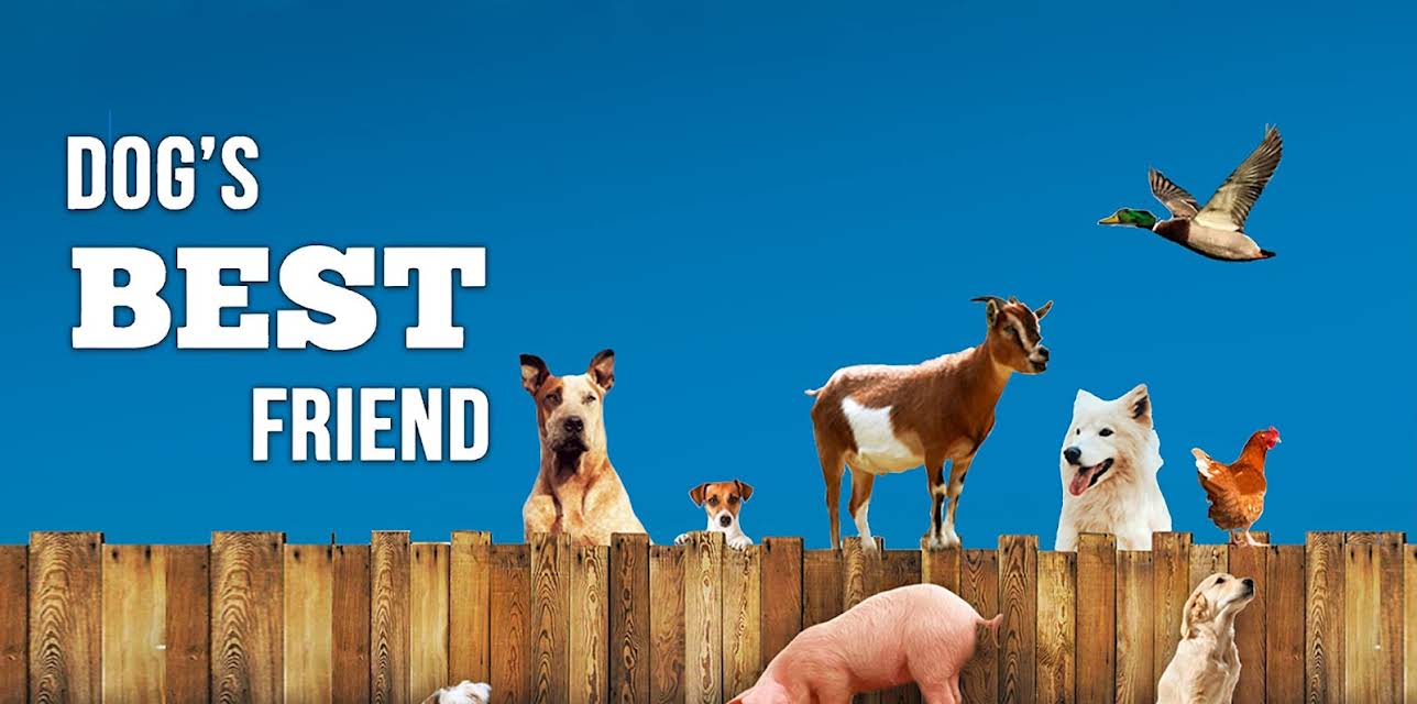 Dog's Best Friend