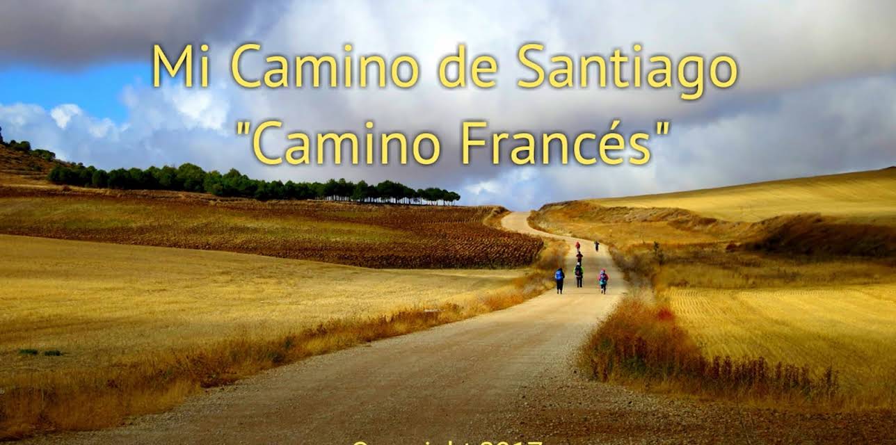 Mi Camino de Santiago "Camino Francés" (2017)