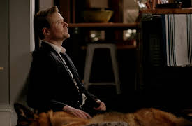 Hudson & Rex Season 1: The Hunt