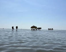 Nationalparks, die Sie kennen sollten