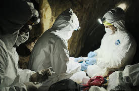 Pandemi: Bättre att förekomma än förekommas