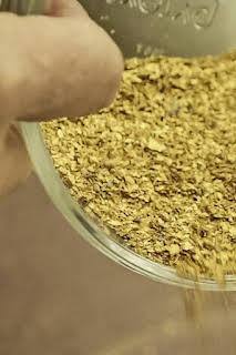 07:30: La fiebre del oro: minas perdidas: Choque y mineral | Discovery | 4/8 2026