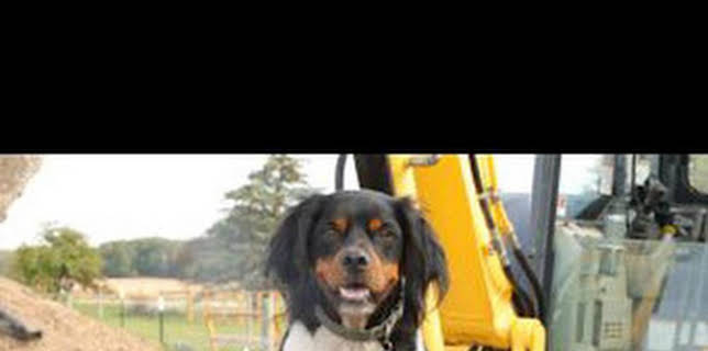 20:35: La increíble granja del Dr. Pol: El nuevo rebaño | Nat Geo Wild | 2/11 2026