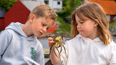 12:25: Skattejakt i fjæra: Krabbejakt | NRK Super | 4/13 2026