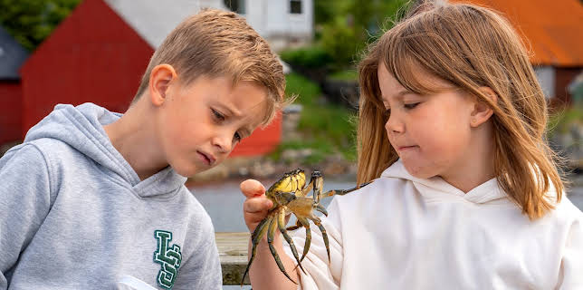 10:35: Skattejakt i fjæra: Krabbejakt | NRK Super | 11/27 2025