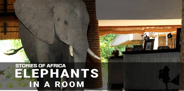 Stories of Africa: Elephants in the Room (2022)