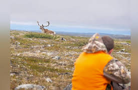 Moment Of Impact: Taming the Tundra