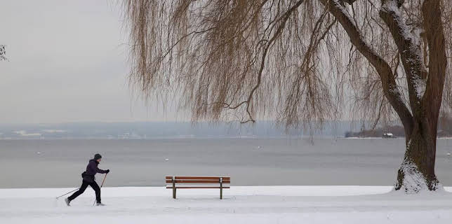 11:40: aktiv und gesund | SWR Fernsehen RP | 1/29 2026