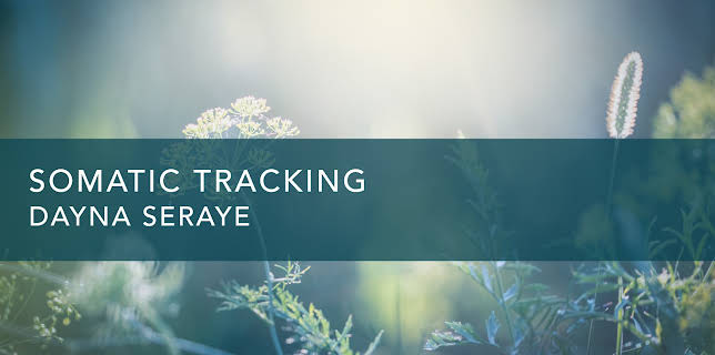 Somatic Tracking (2024)