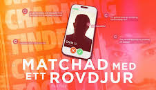 Matchad med ett rovdjur