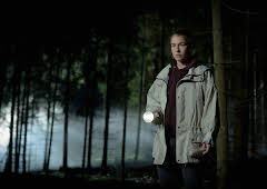 Schweigend steht der Wald