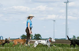 A Different Breed Season 1: The Season Begins