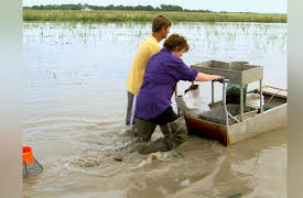 Pitchin' In: Crawfish