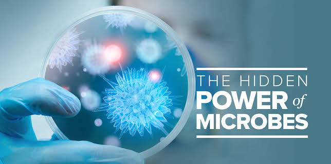 The Hidden Power of Microbes