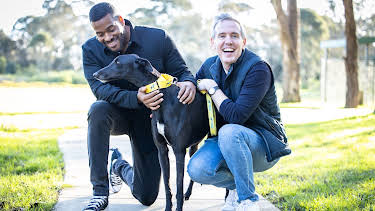 6:50 PM: The Dog House Australia | More 4 | 10/26 2026