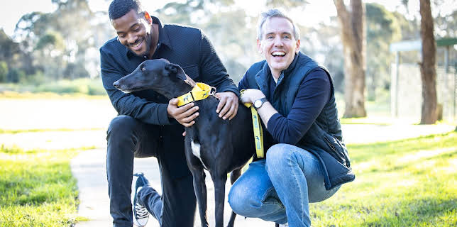 6:50 PM: The Dog House Australia | More 4 | 3/4 2026