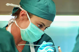 The Good Apprentice, Season 1: The Apprentice