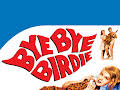 Bye Bye Birdie