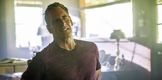 07:25: Navy CIS: New Orleans | Kabel Eins | 6/28 2025