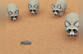 Leo The Wildlife Ranger: Leatherback Sea Turtle