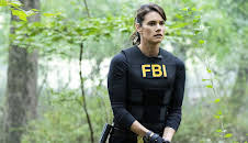 FBI: Special Crime Unit