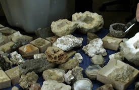 Storage Wars Season 1: Gambler's Last Resort