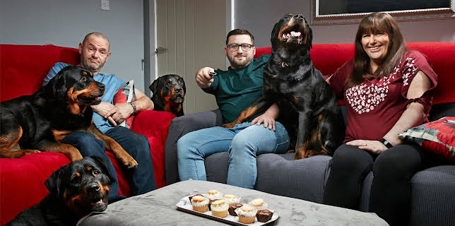 10:00 PM: Gogglebox | E4 | 12/4 2025