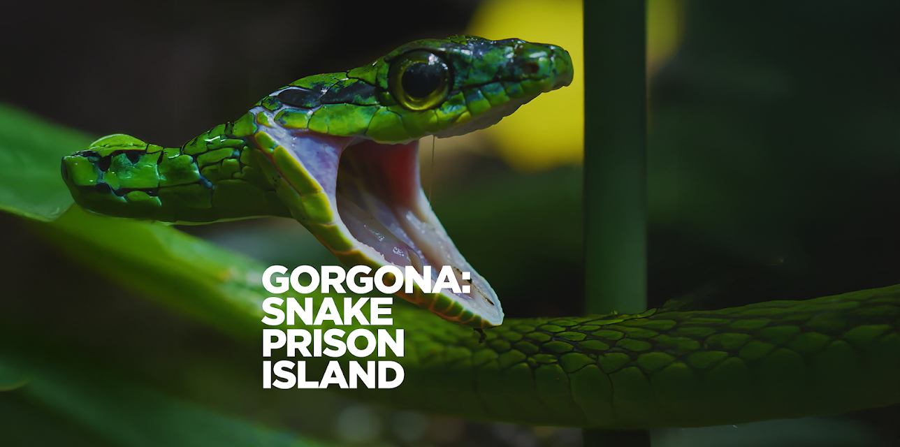 Gorgona: Snake Prison Island (2022)