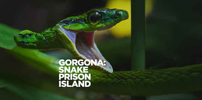 Gorgona: Snake Prison Island (2022)