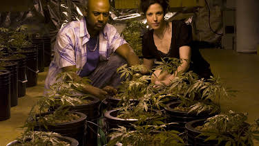 17:00: Weeds (S2 E5) (S2) | Viasat Series | 10/8 2026